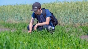 Учёные ГАУ Северного Зауралья запатентовали уникальный способ обработки почвы